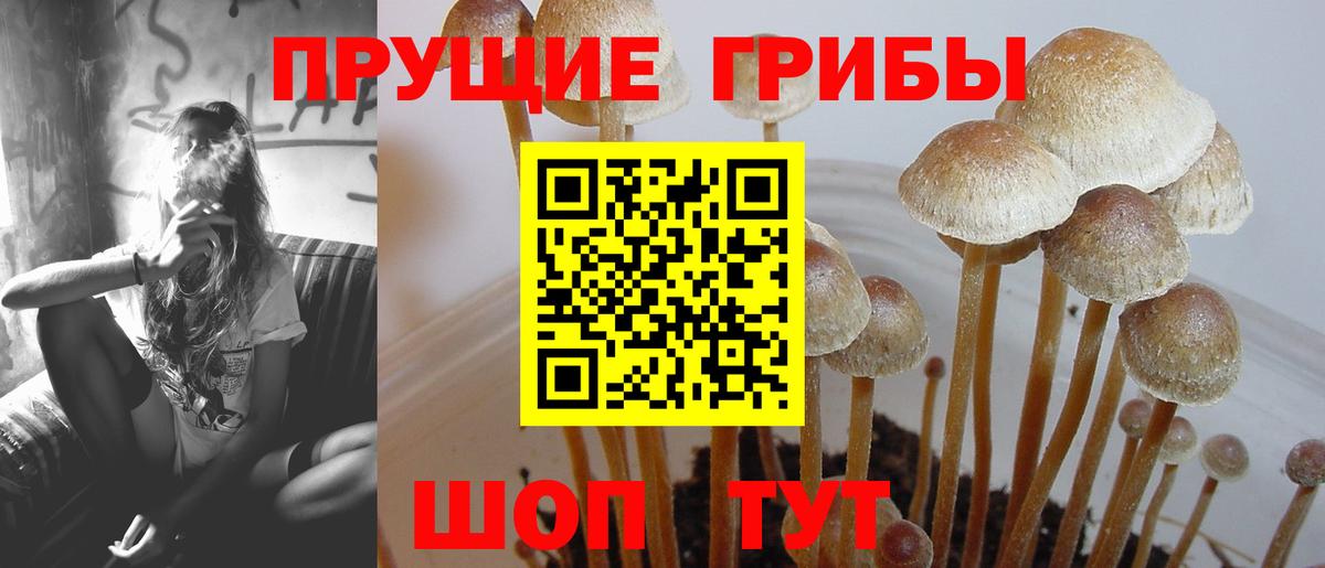 Ачинск  Галлюциногенные грибы ЛСД  Вход с VPN 