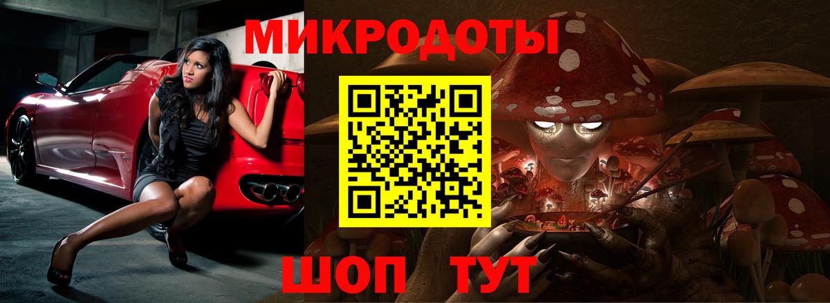 Псилоцибиновые грибы Psilocybine cubensis Ачинск